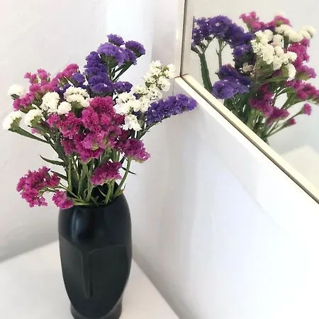 Casa De Vien 別荘 *